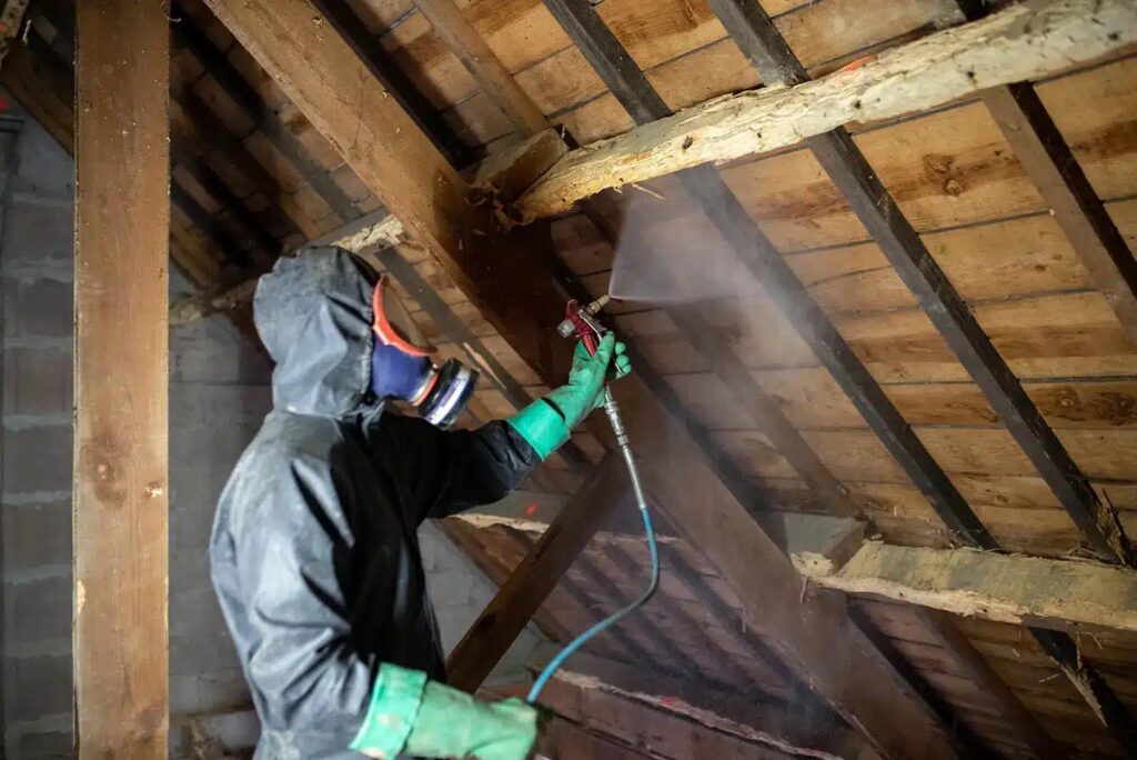 Traitement de charpente à Lille